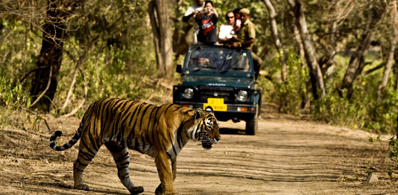 Nainital Mussuurie Jim-Corbett Nainital Mussuurie Jim-Corbett