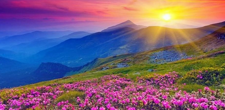 Valley Of Flower Tour Package Valley Of Flower Tour Package